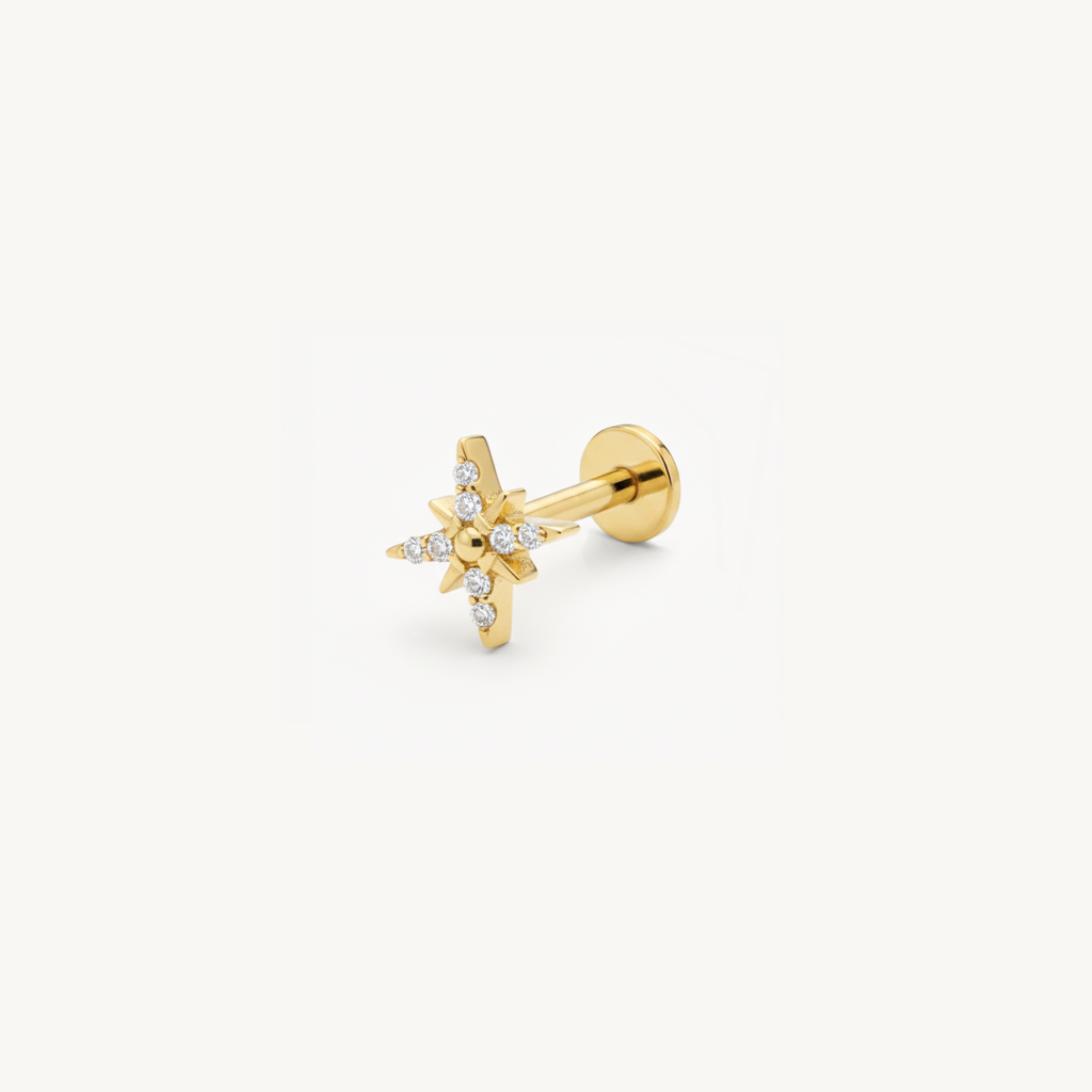 Northern star gold