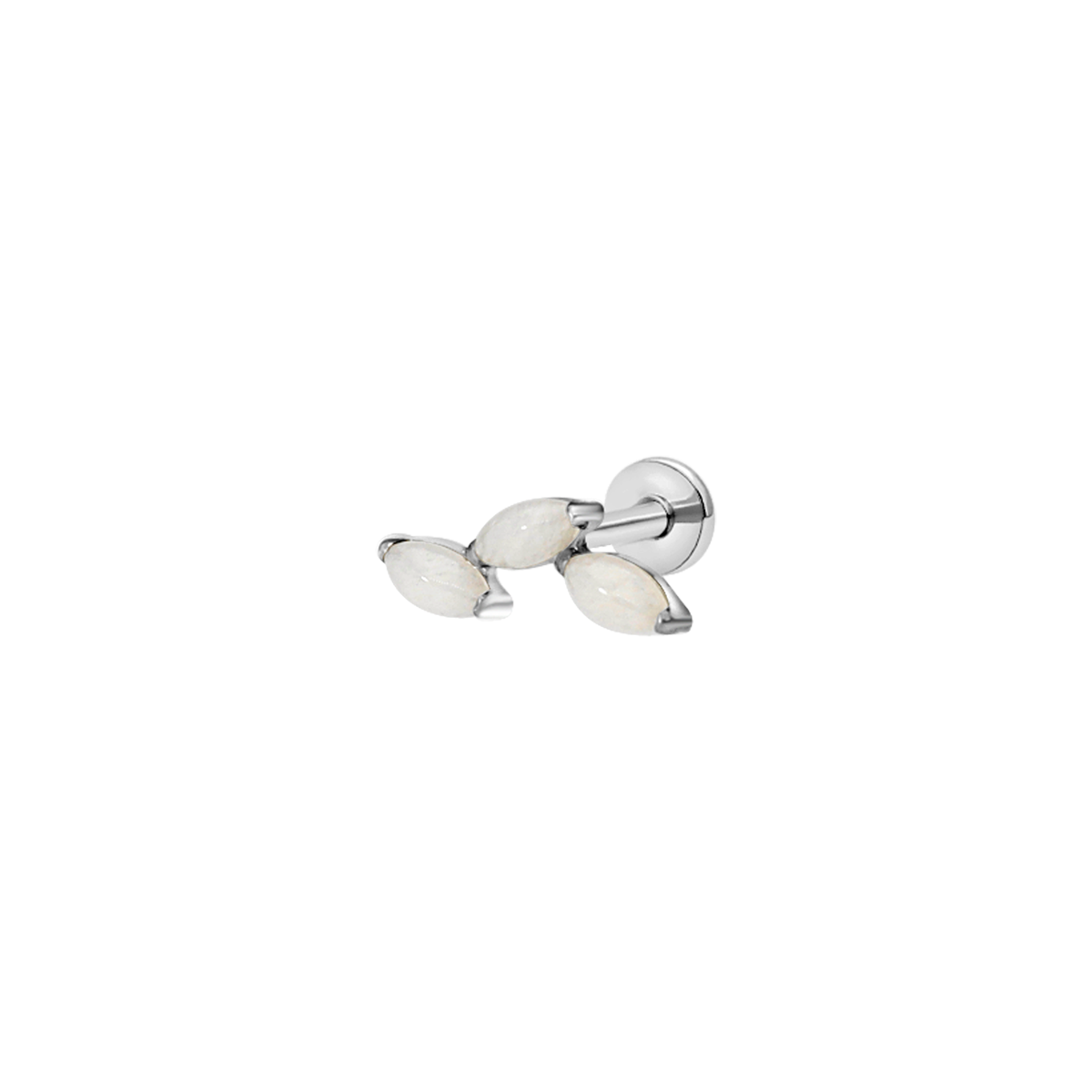Moonlit Blossom
