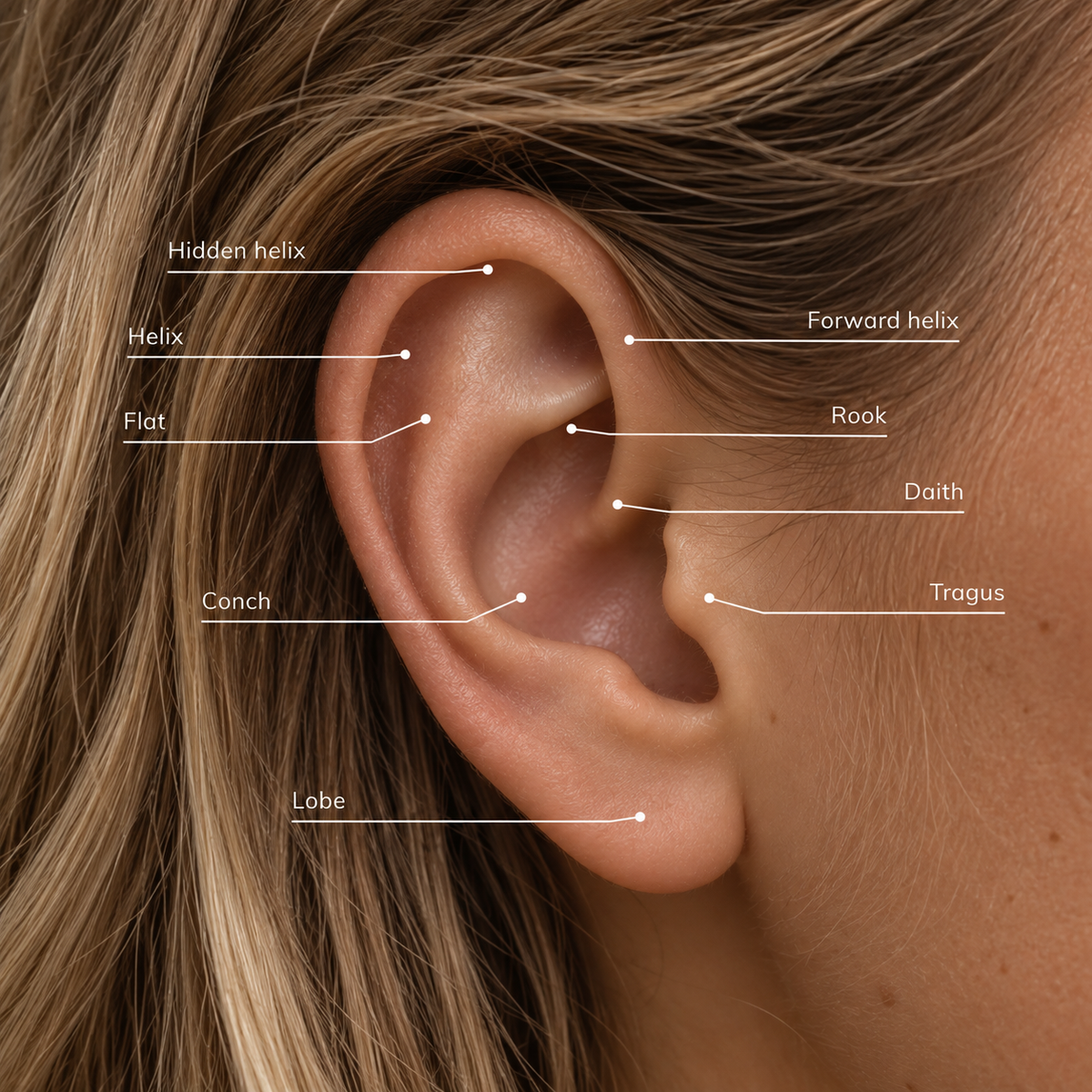 Overzicht van verschillende piercings in het oor