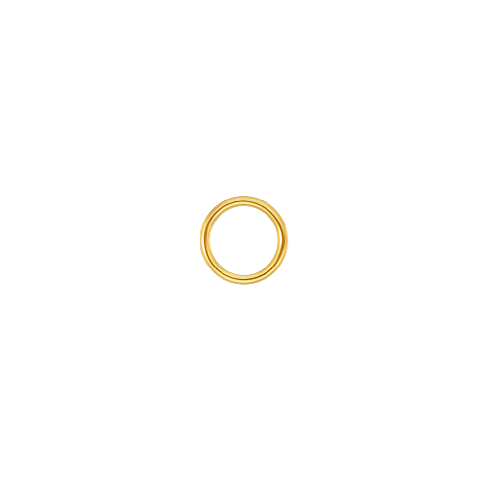 Segment clicker goud 1.2