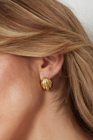 Shell earrings