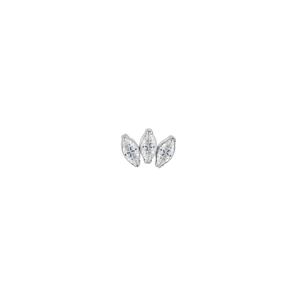 Trinity spark clear