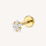 Starlight sparkle gold