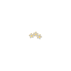 Garden of eden gold
