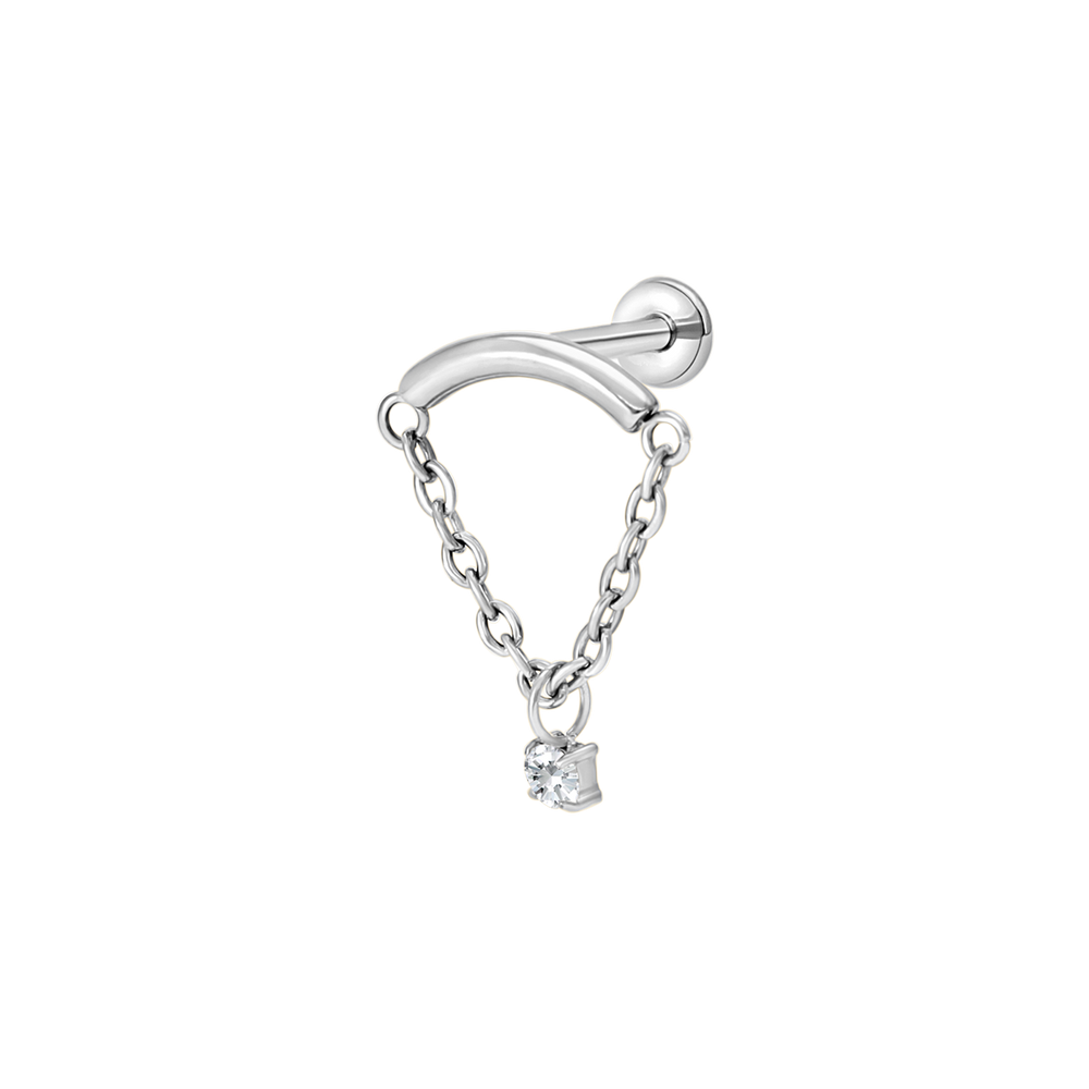Silver Charm