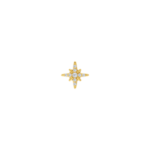 Northern star