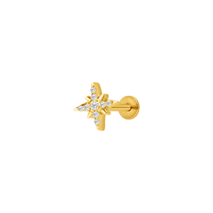 Northern star