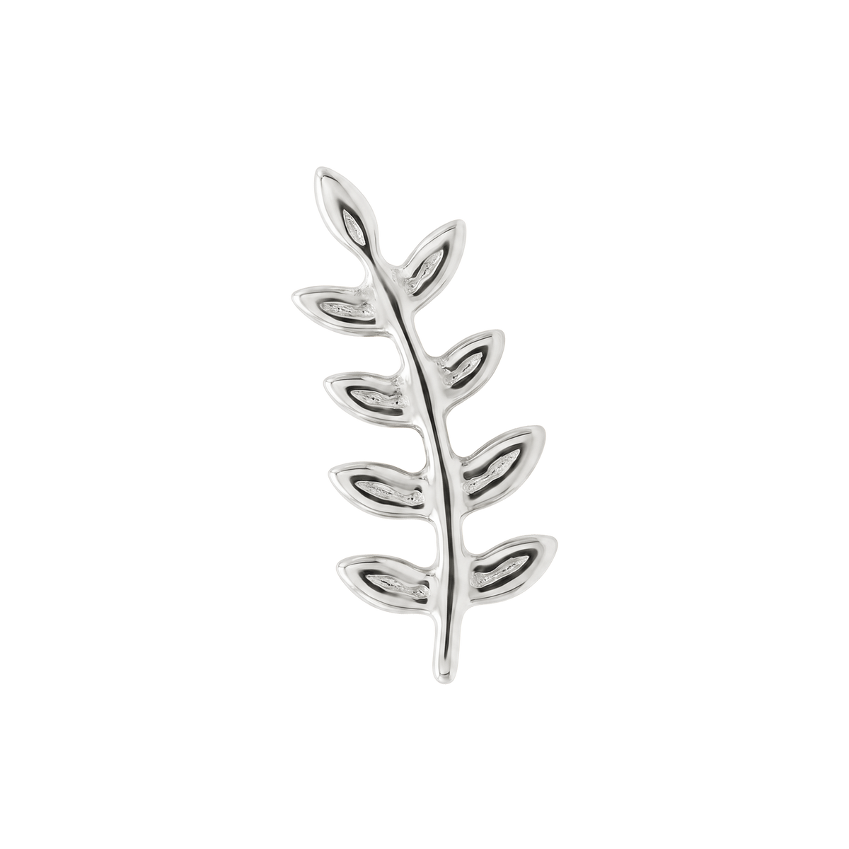Branch of grace