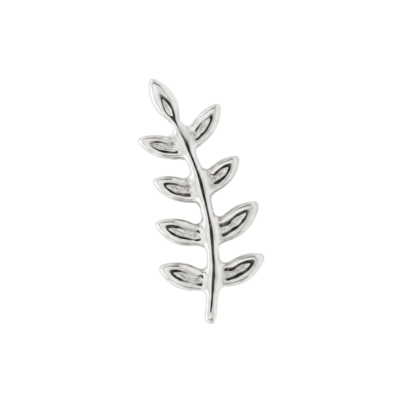 Branch of grace