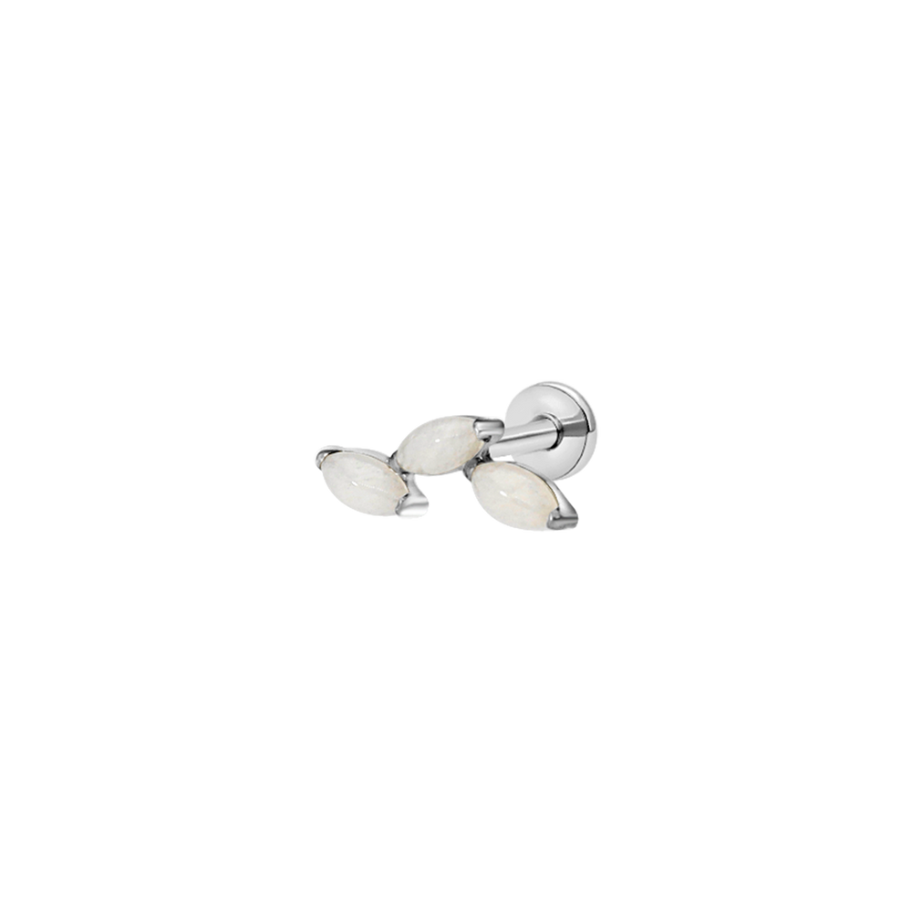 Moonlit Blossom