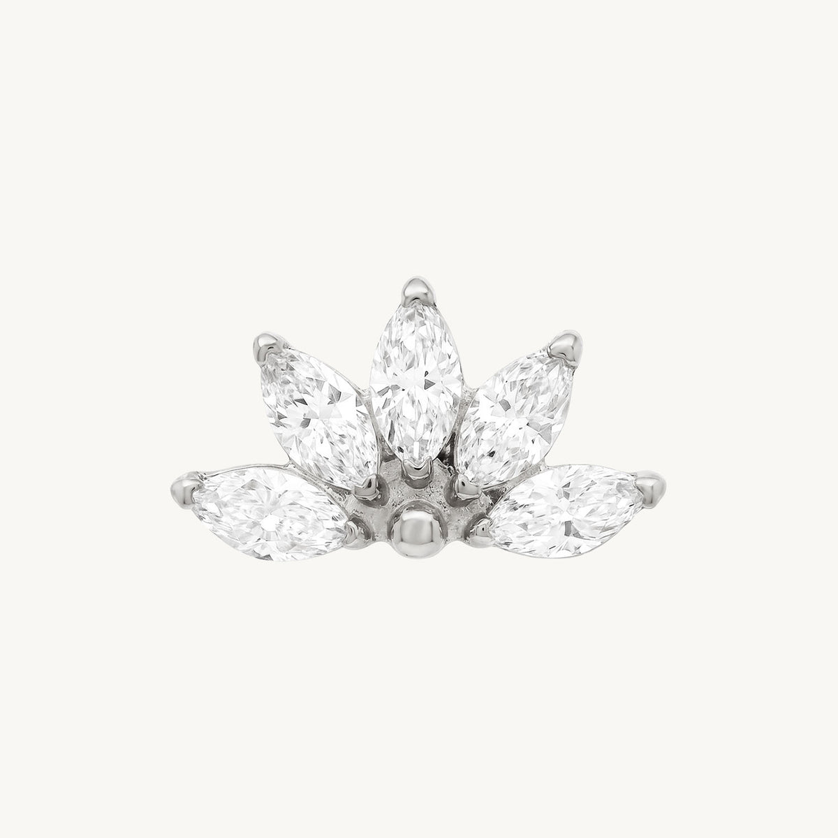 Wild bloom – FRONT