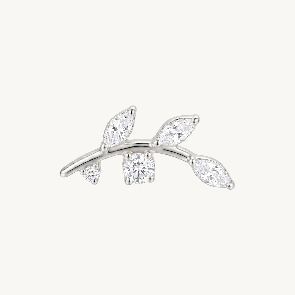 Marquise branch