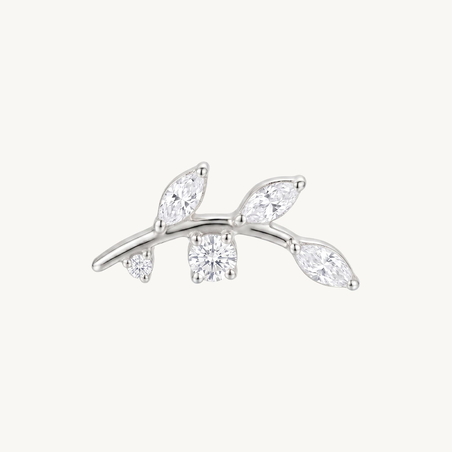 Marquise branch