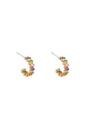 Earrings In Style Multi