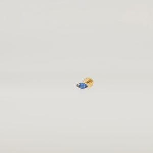 autoplay