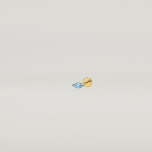 autoplay