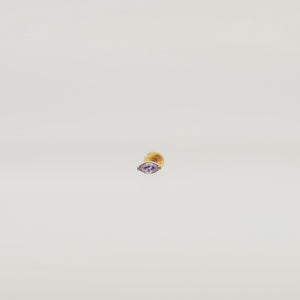 autoplay