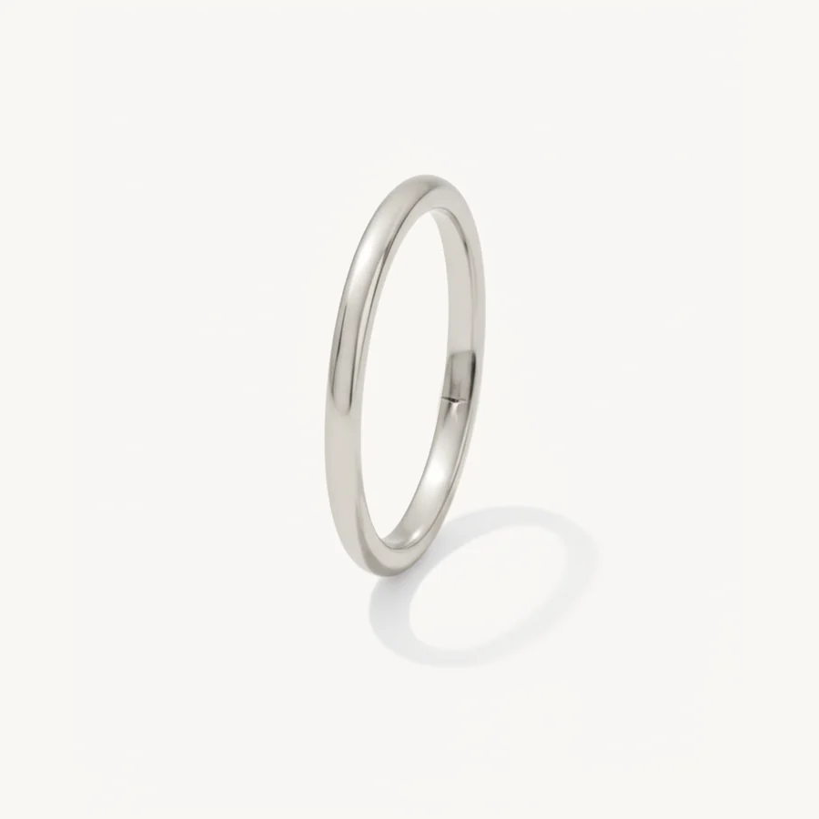 Segment clicker zilver 1.0